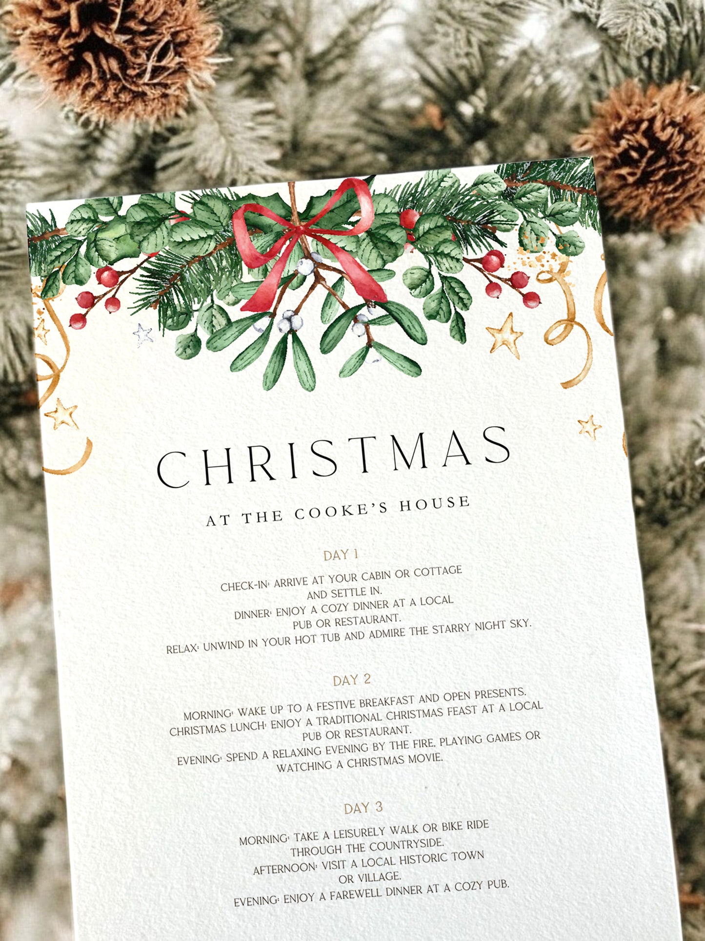 Christmas Garland Party Itinerary