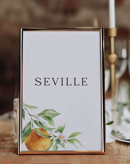 Hannah Mediterranean Orange Table Number - Ivy and Gold Wedding Stationery