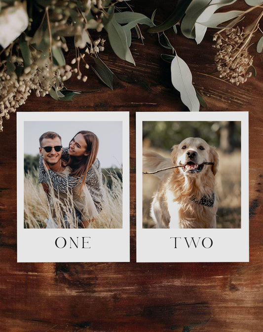 Olivia | Polaroid Table Number - Ivy and Gold Wedding Stationery